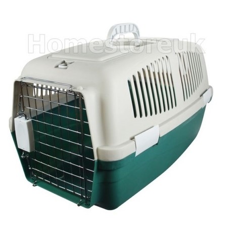 Pet bird cat - bird,