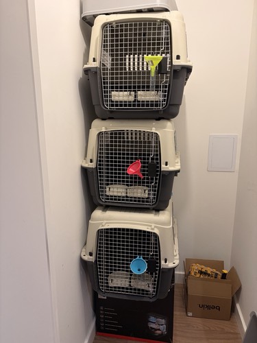 Pet transport create carrier - pet, create/carrier