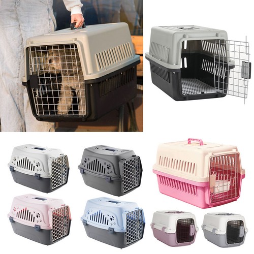 Large plastic pet - plastic,