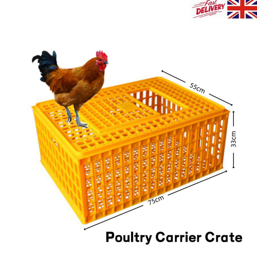 33cm poultry carrier - poultry,