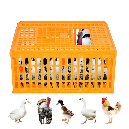 Poultry carrier crate - carrier,