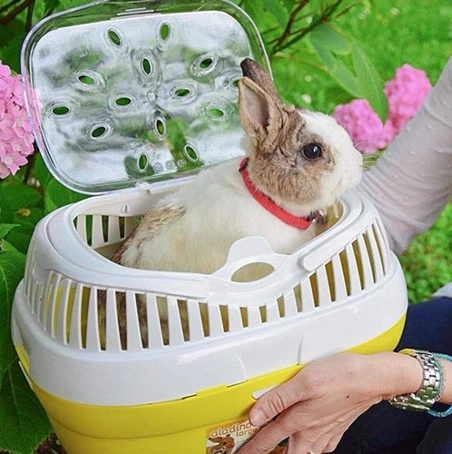 Ferplast rabbit guinea pig and - guinea,