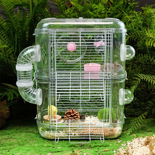 Small animals pet - pet, hamster