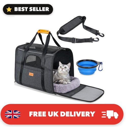 Cat carrier airline - cat,