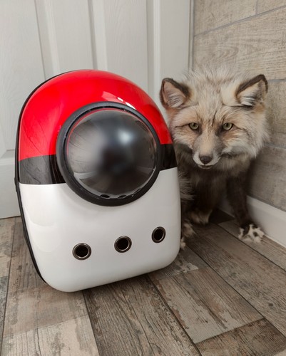 Fun novelty pokeball pet - fun,