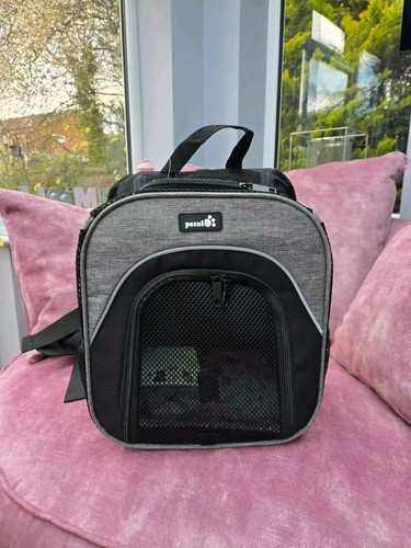 Petcute small pet backpack - petcute,