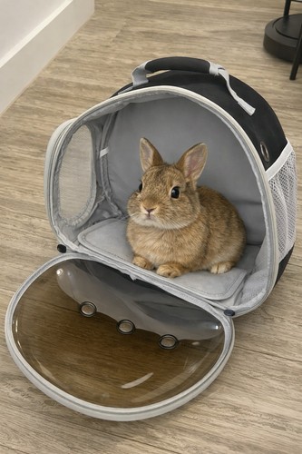 Bubble window pet backpack - bubble,